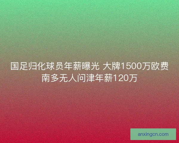 国足归化球员年薪曝光 大牌1500万欧费南多无人问津年薪120万