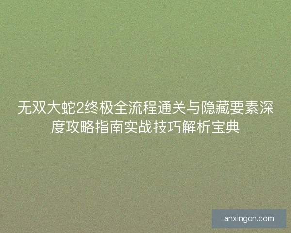 无双大蛇2终极全流程通关与隐藏要素深度攻略指南实战技巧解析宝典