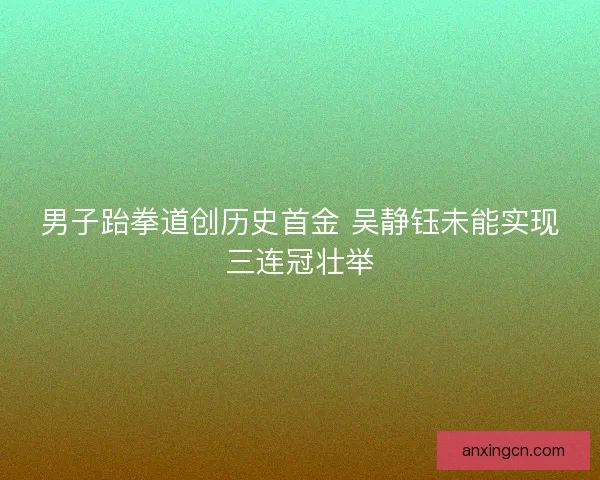 男子跆拳道创历史首金 吴静钰未能实现三连冠壮举